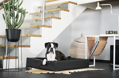 Bia Bed Hondenmand Orthopedisch Zwart Bia-6 100X80X15 Cm
